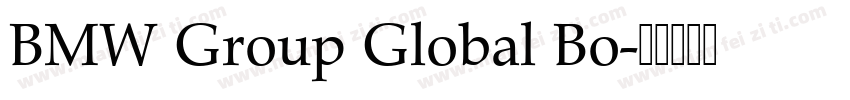 BMW Group Global Bo字体转换